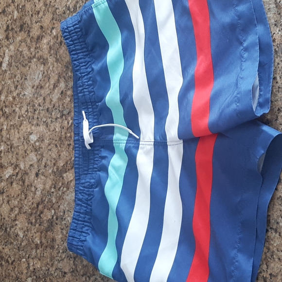 chubbies Swim Chubbies Swimming Shorts Poshmark